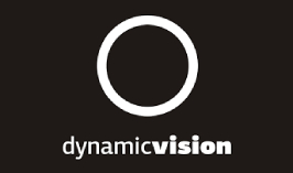 Dynamic Vision